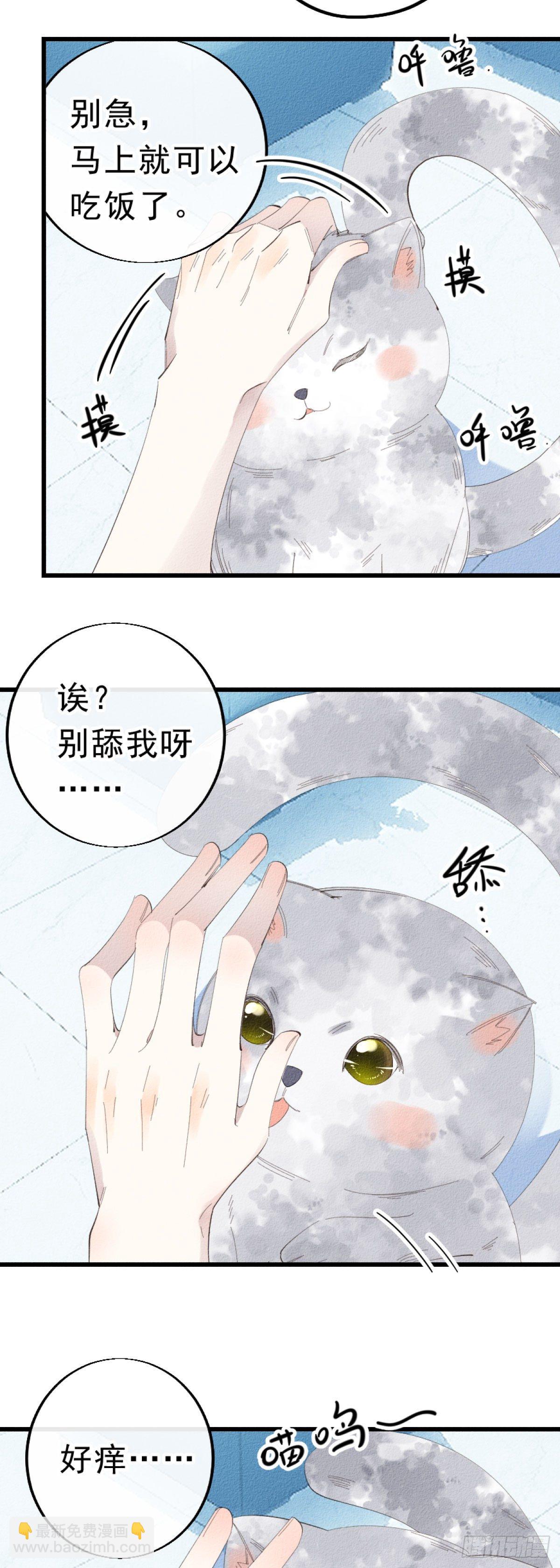 5.终于把小猫咪拐回家了！-第6话