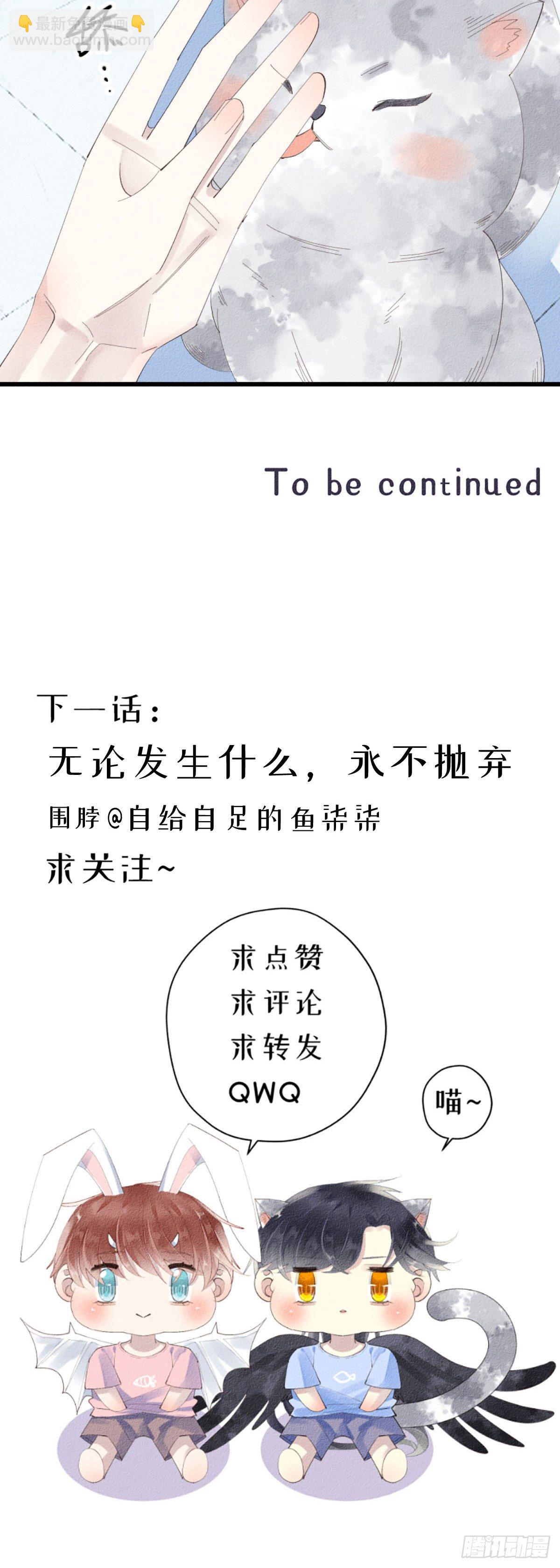 5.终于把小猫咪拐回家了！-第6话