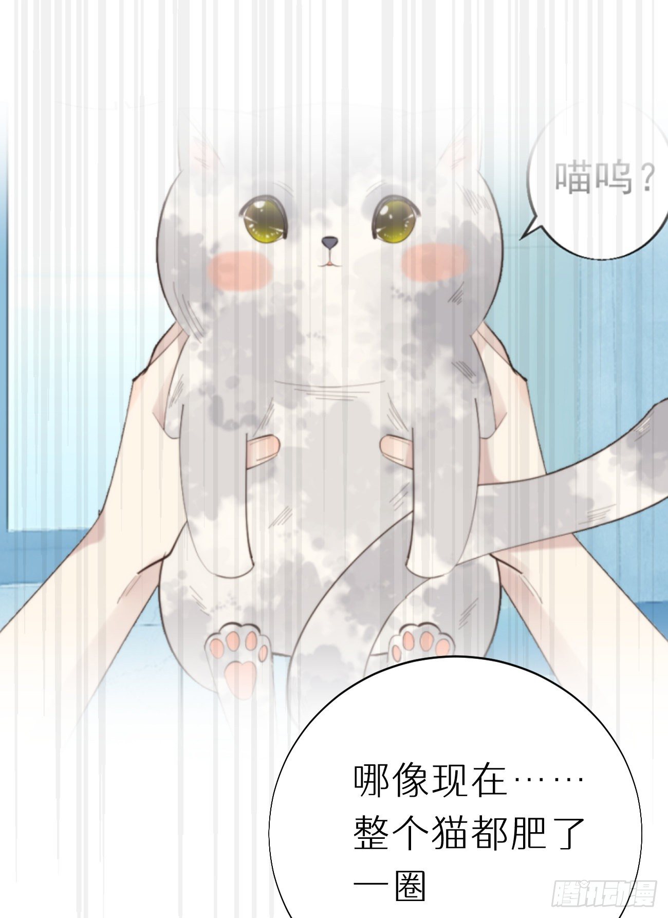 番外三.吃胖-第96话
