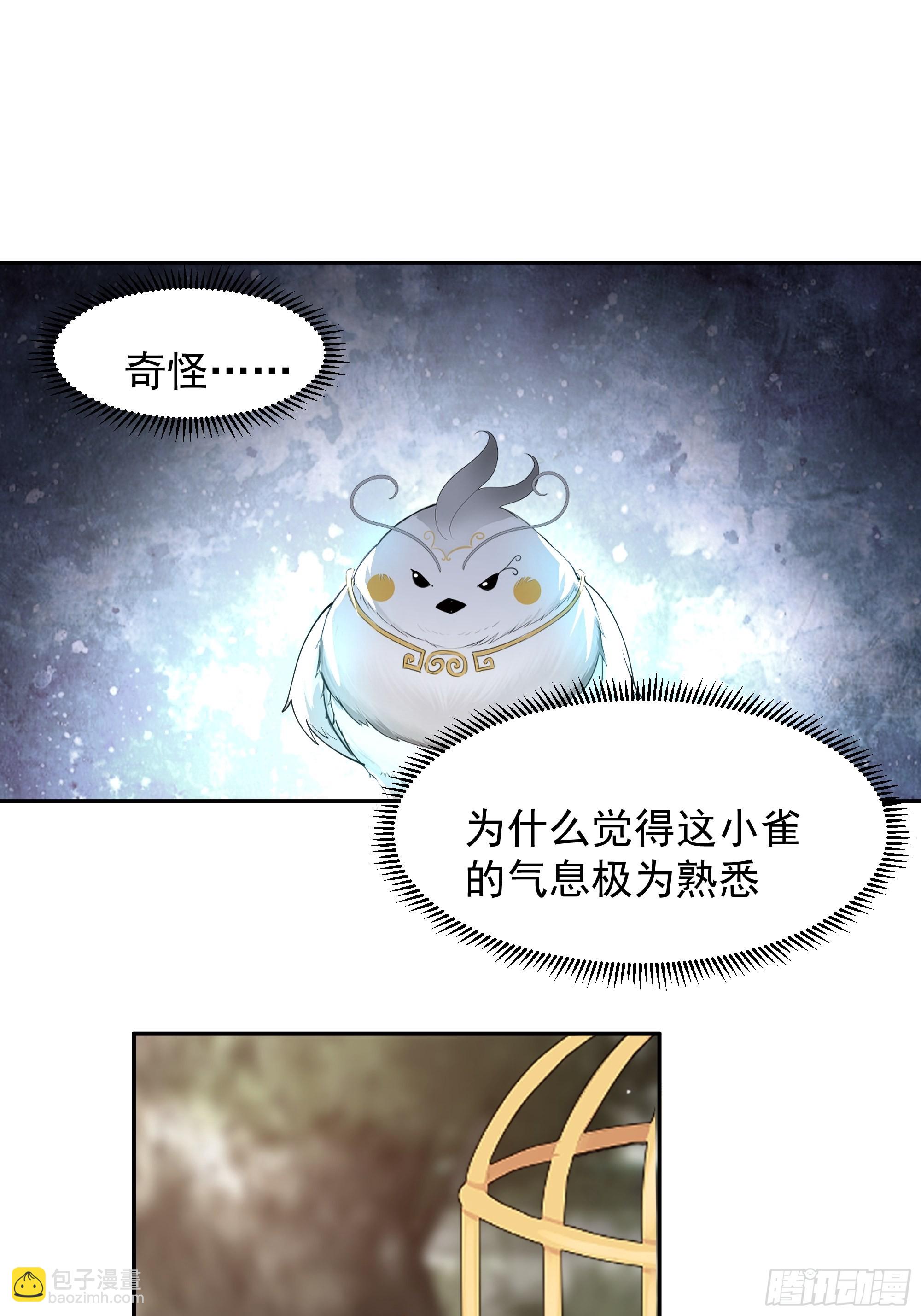 白雀无声(1/2)-第8话