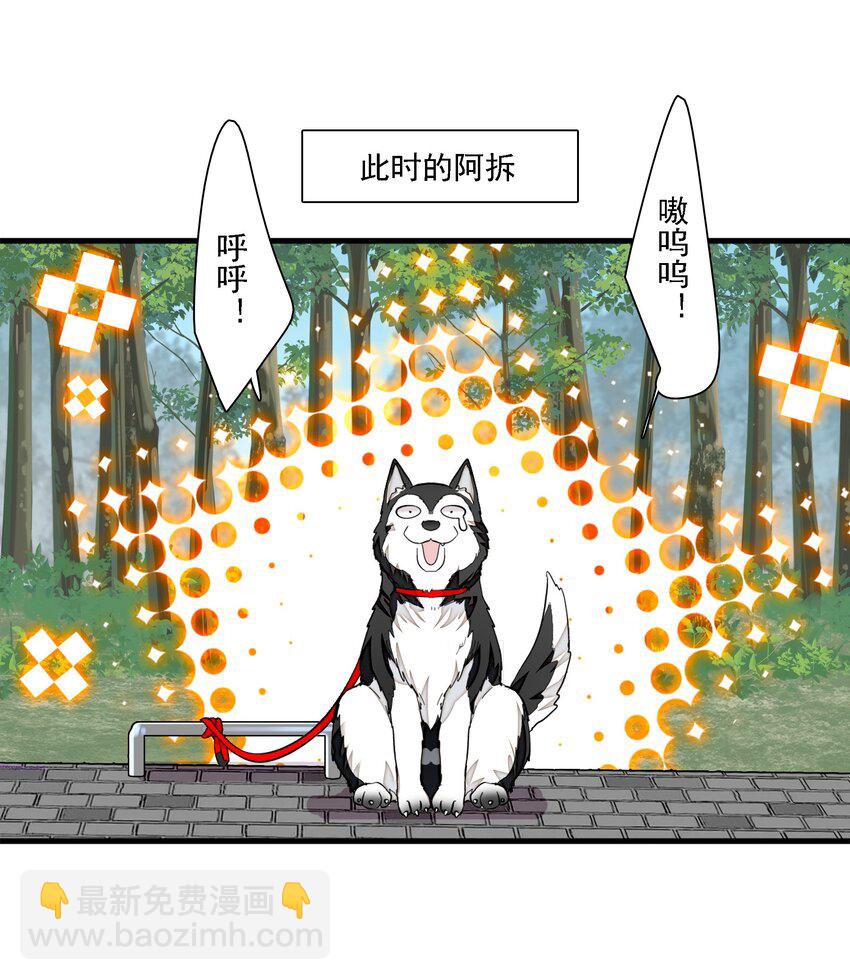 066 分离的预告-第76话