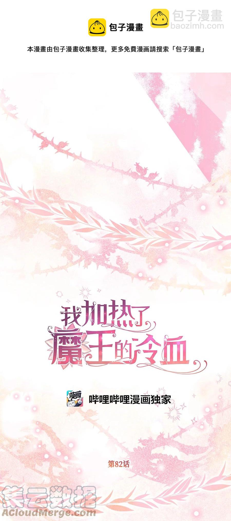 🍘我加热了魔王的冷血 82 婚礼前的准备 第13页
