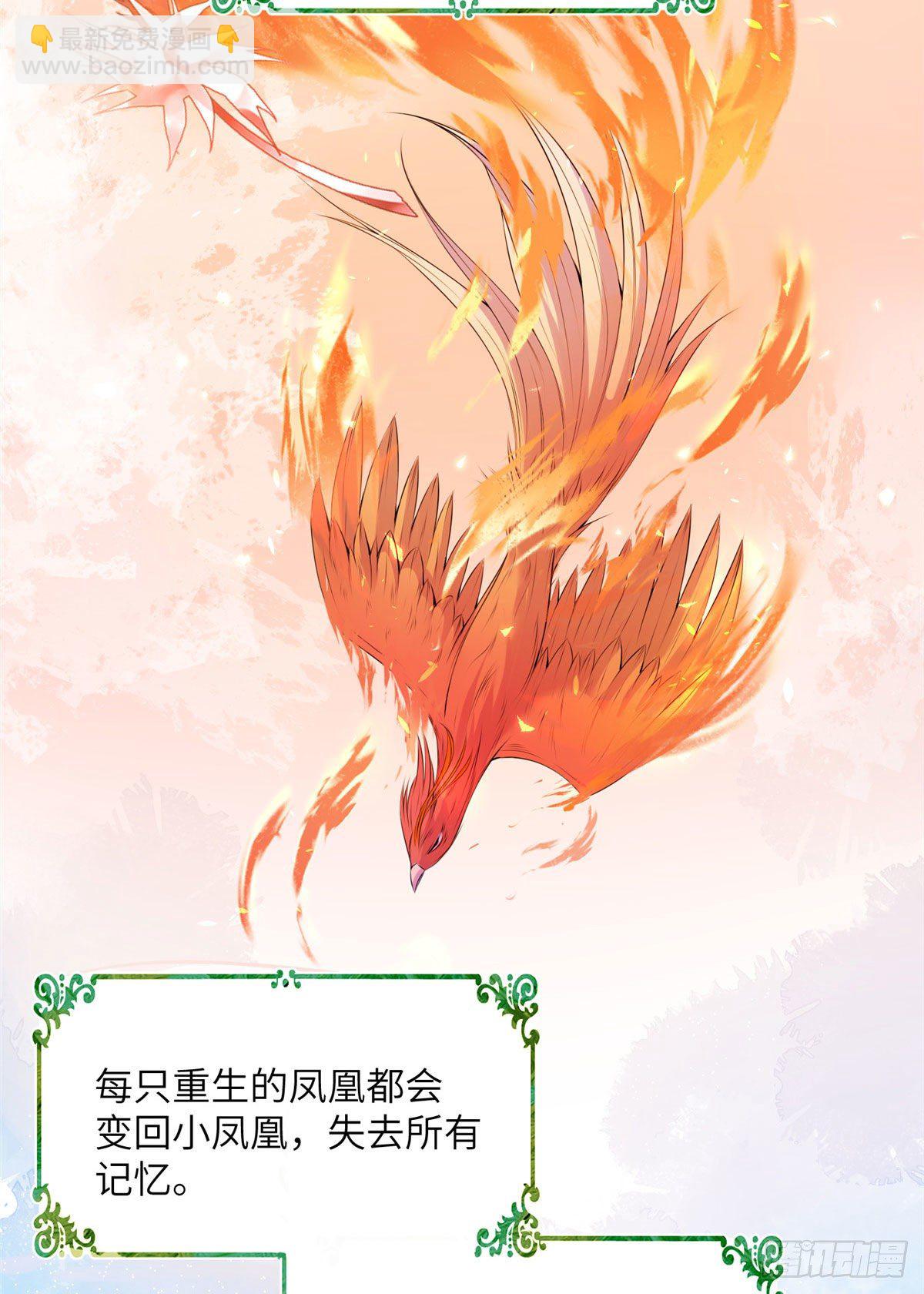 24 是什么蛋-第26话