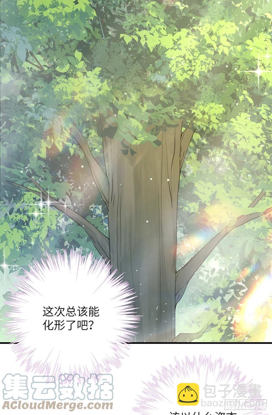 052 我变成树了-第54话