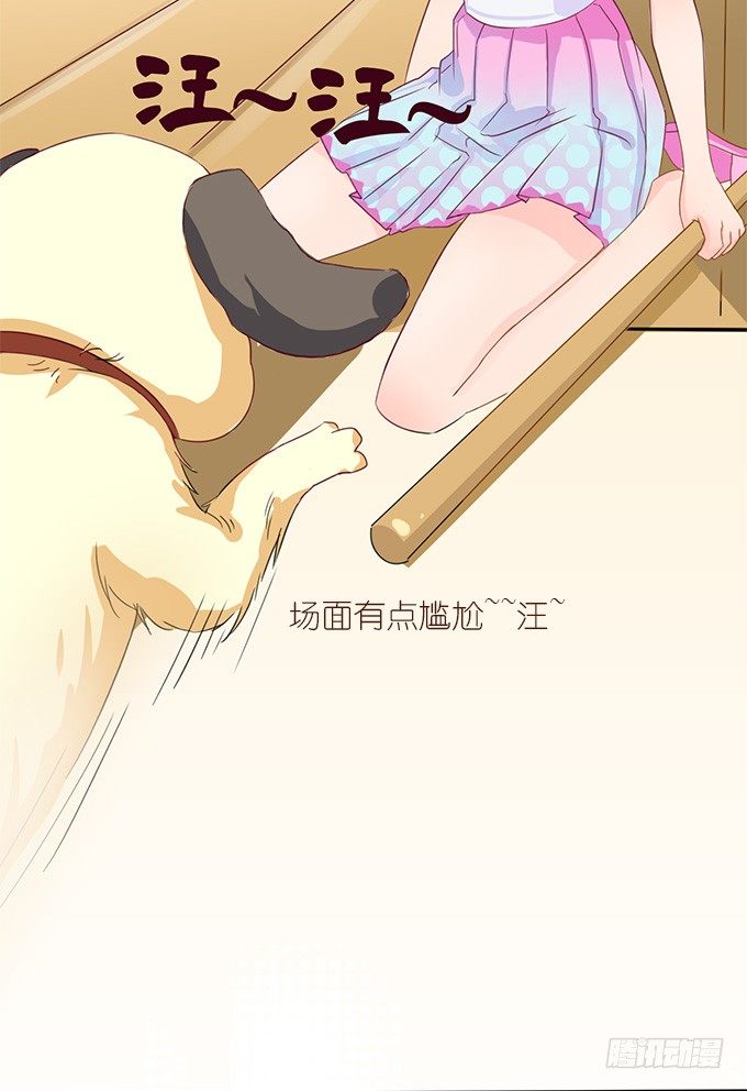 遗失的美好(1/2)-第2话