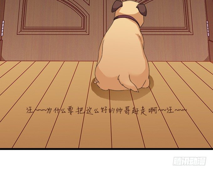 遗失的美好(1/2)-第2话