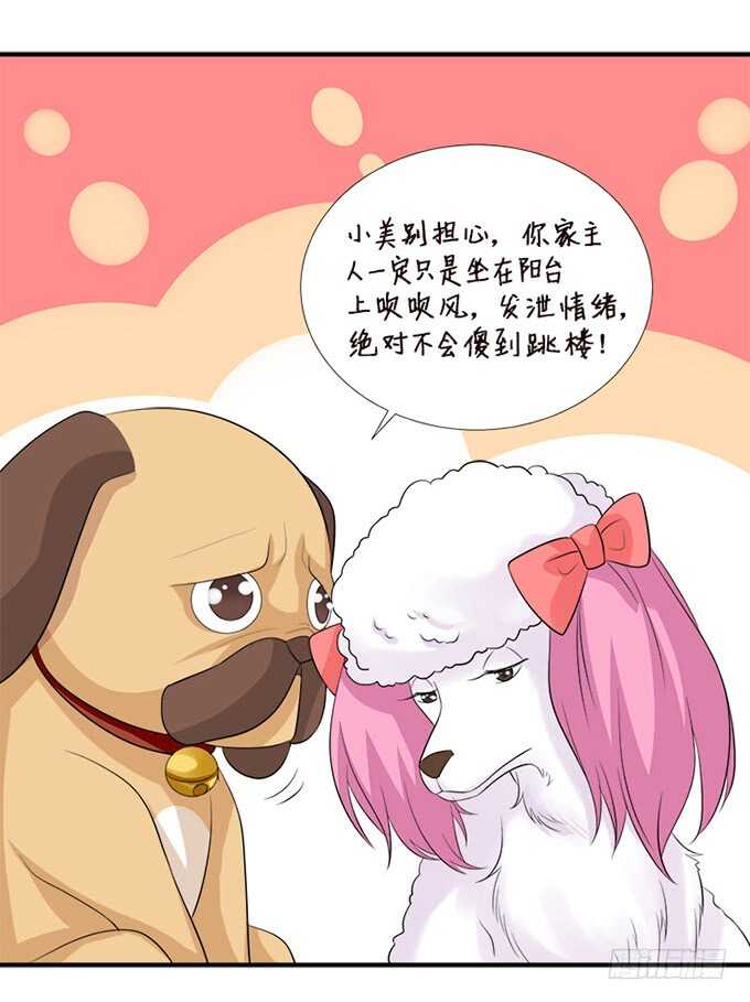 新男朋友，卡欧？(1/2)-第144话