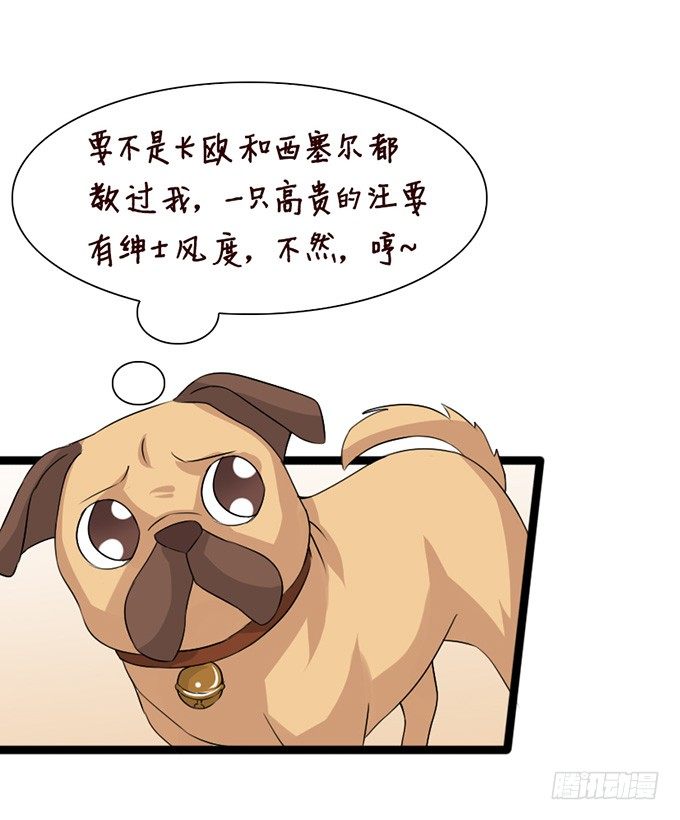 以爱之名的陷阱(1/2)-第24话