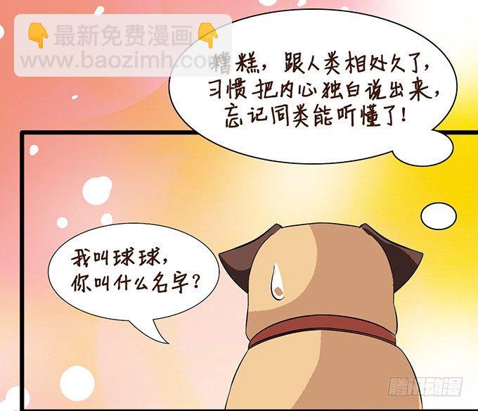 爱似龙卷风(1/2)-第6话