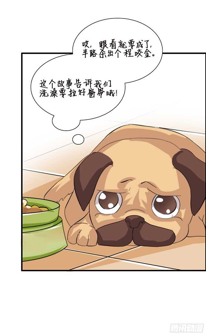 玫瑰鸳鸯浴(1/2)-第90话