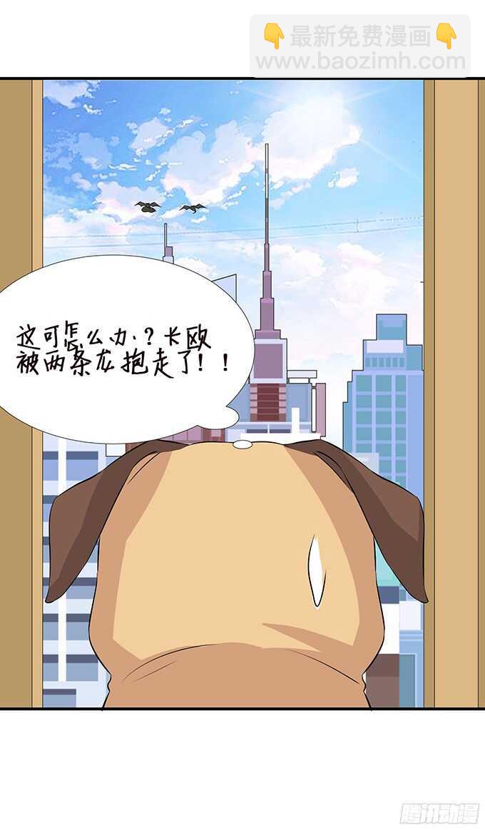 未知的新郎(1/2)-第96话