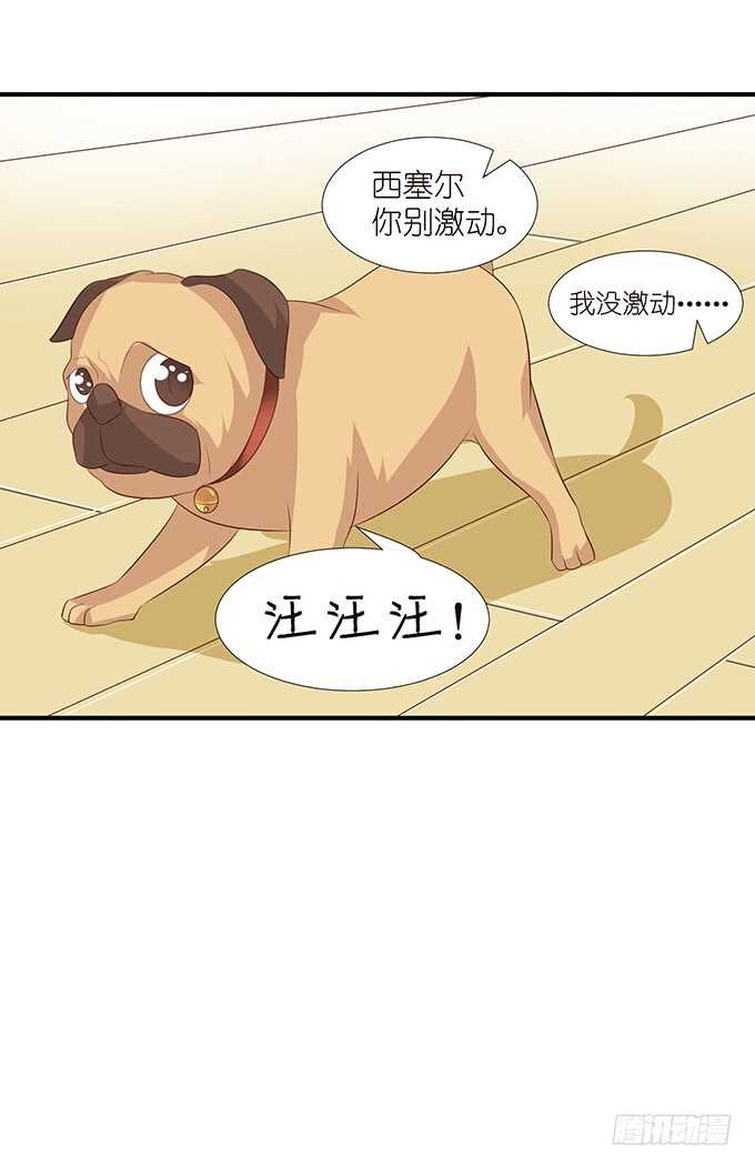 不是你们想的那样(1/2)-第100话