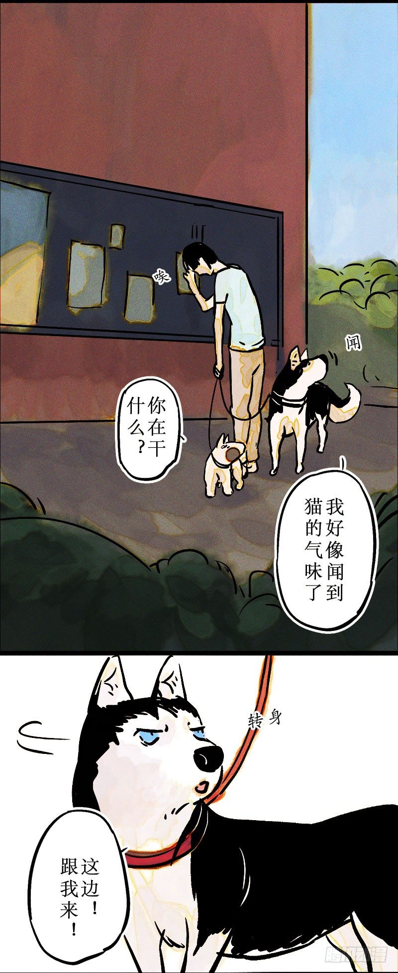 猫薄荷与狗-第22话