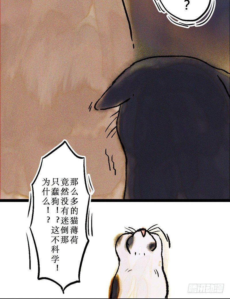 猫薄荷与狗-第22话