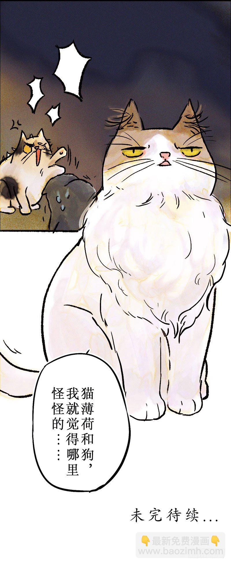猫薄荷与狗-第22话