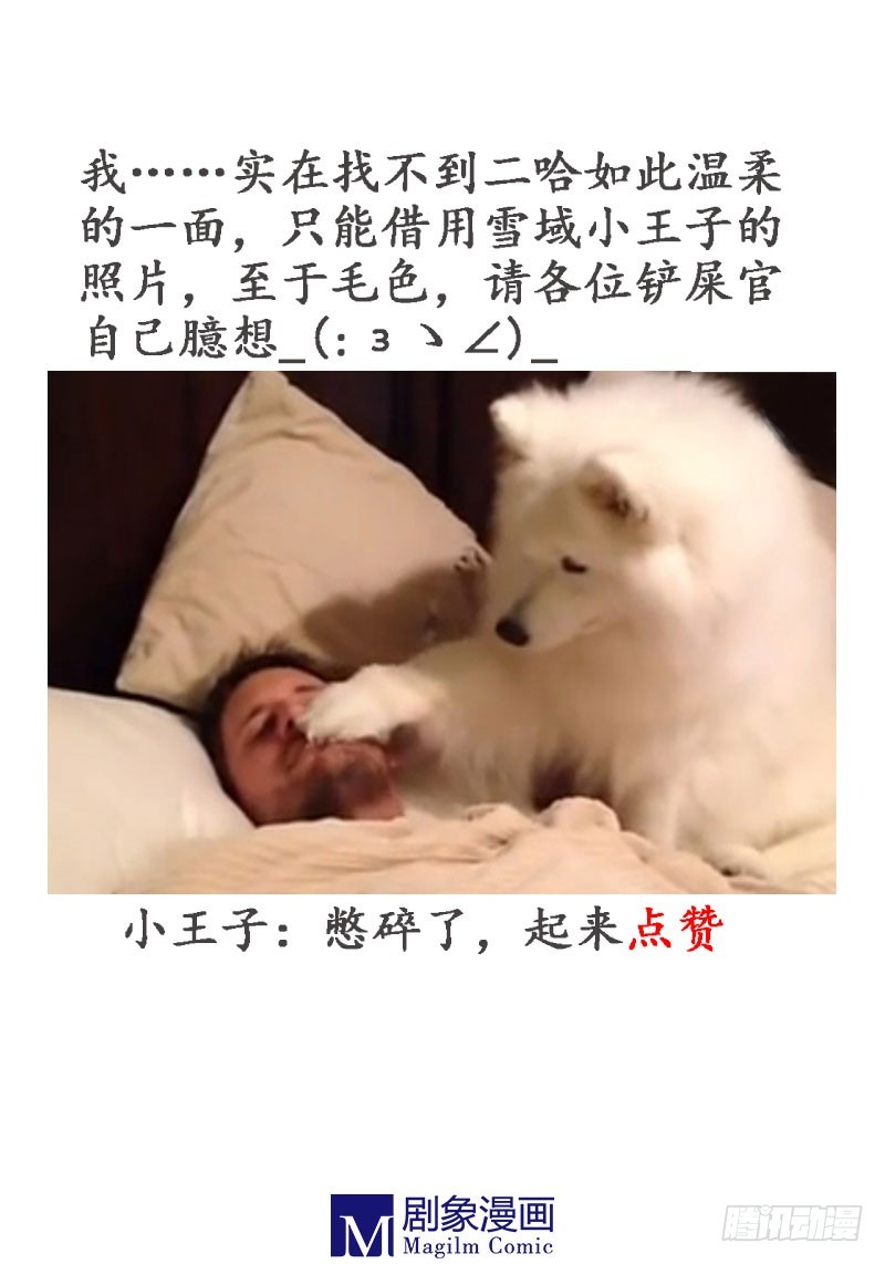 你这么蠢，爷怎么放心？-第38话
