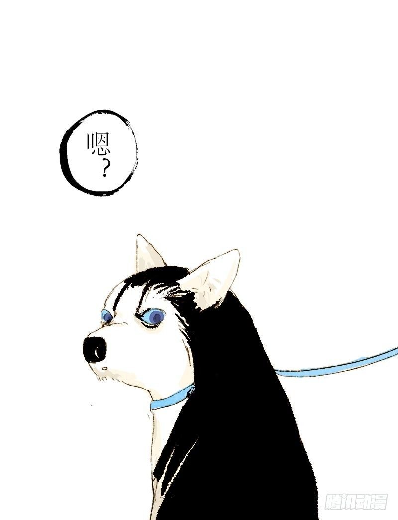 救驾！有刺客！-第8话