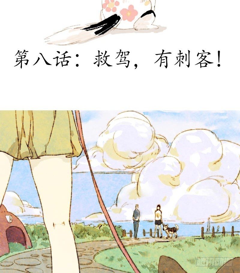 救驾！有刺客！-第8话