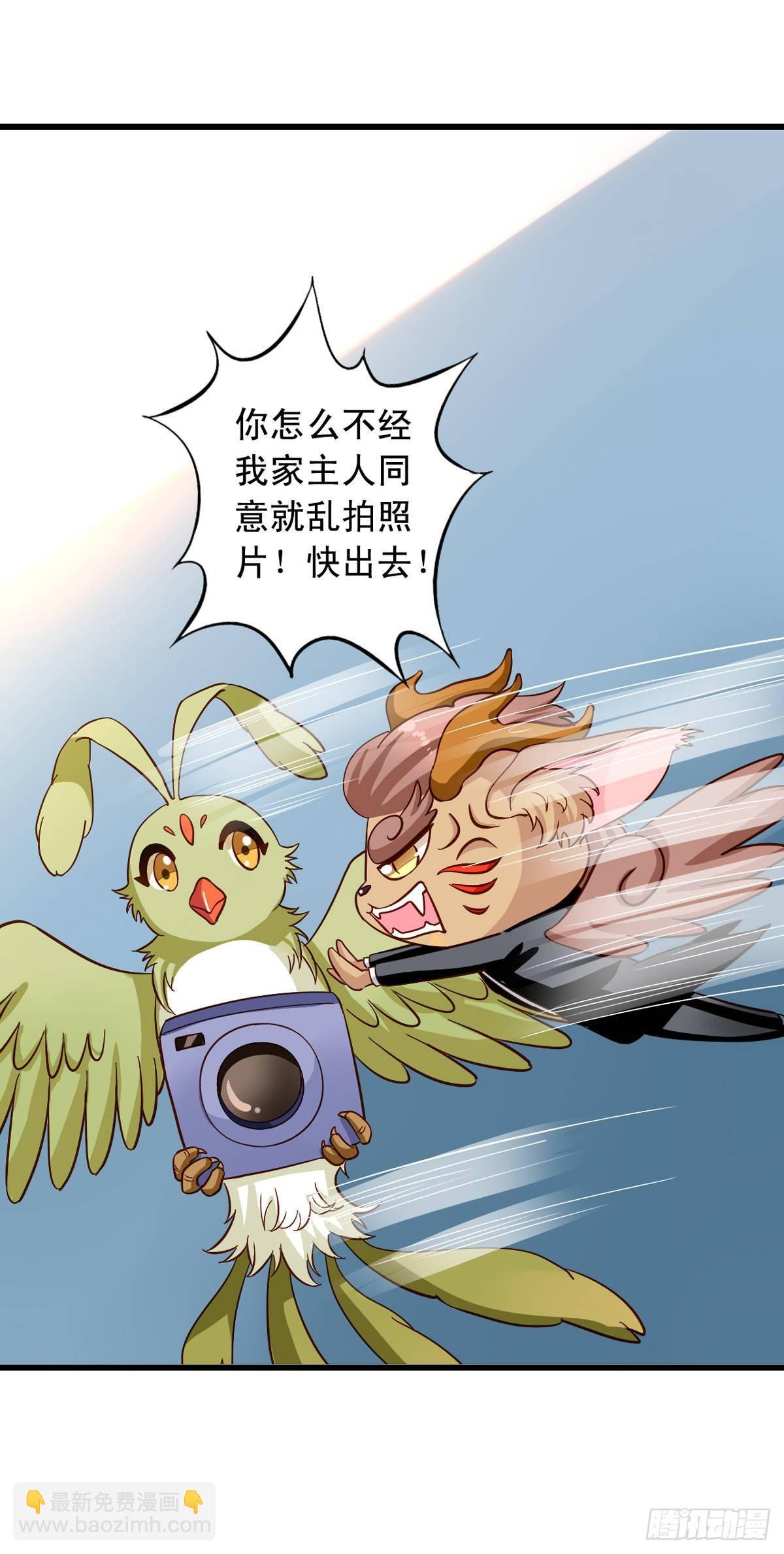 第11回 春光水暖鸟先知-第12话