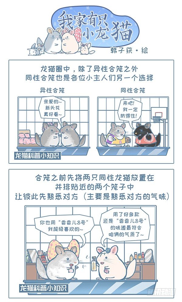 第108个小故事-第106话