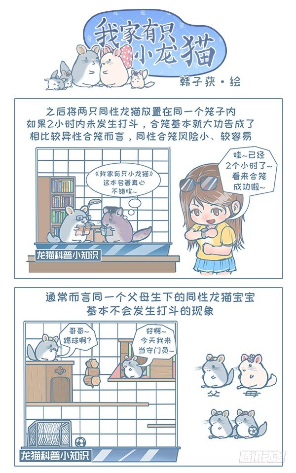 第108个小故事-第106话