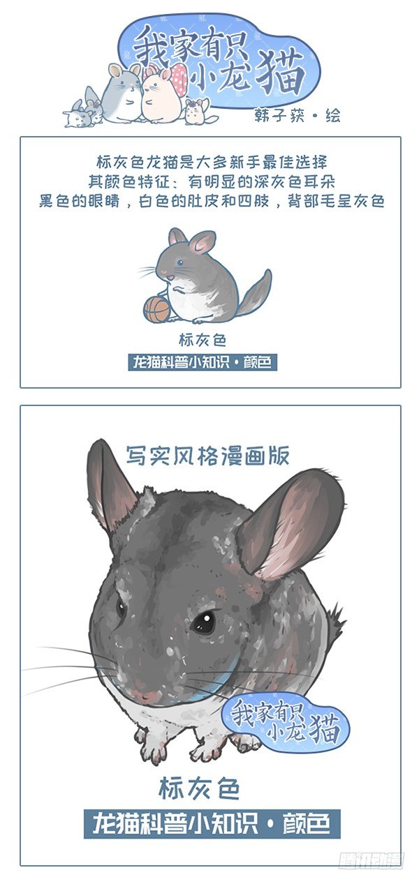 第119个小故事（1）-第126话