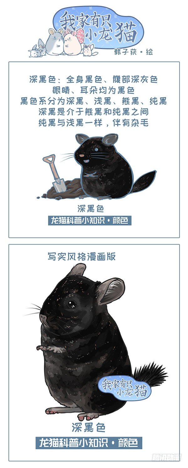 第119个小故事（11）-第148话
