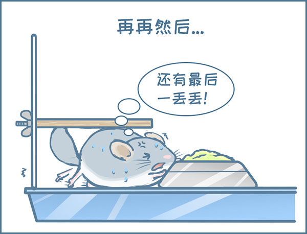 第128个小故事（下）-第174话