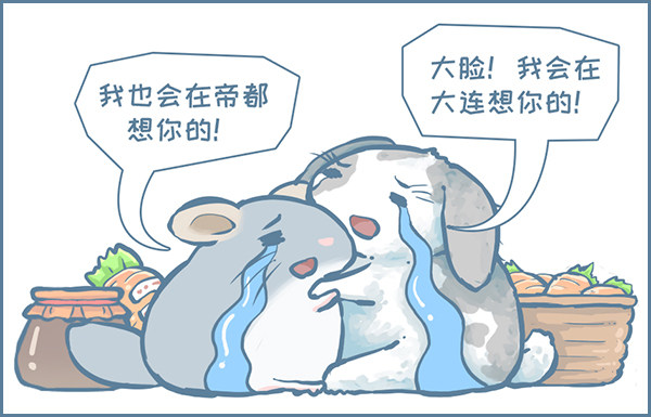 第145个小故事（下）-第204话