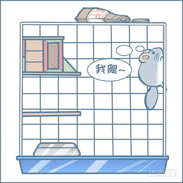 第146个小故事（下）-第206话