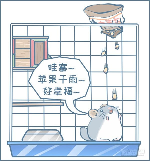 第147个小故事（下）-第208话