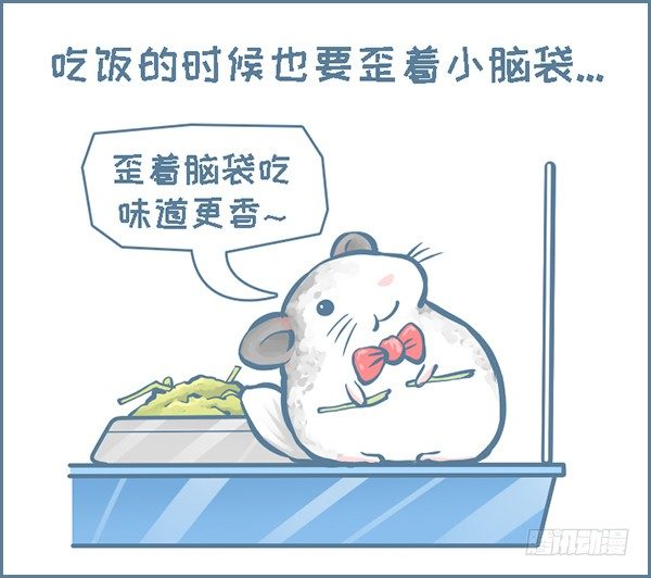 第149个小故事-第210话
