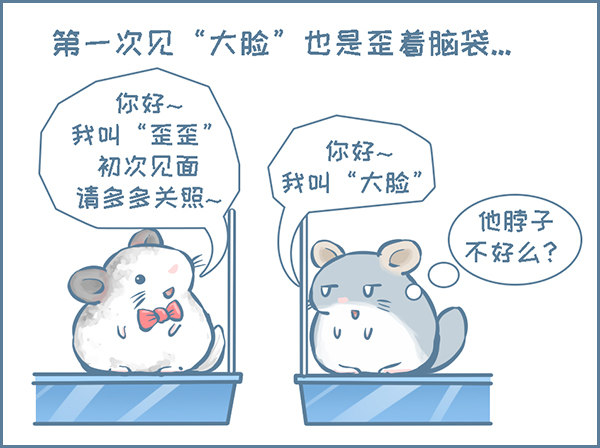 第149个小故事-第210话
