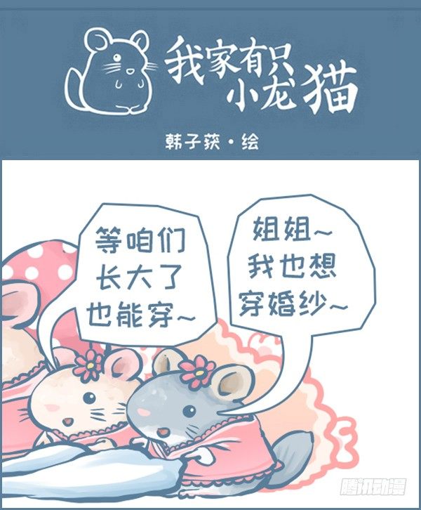我们结婚啦（下）-第222话