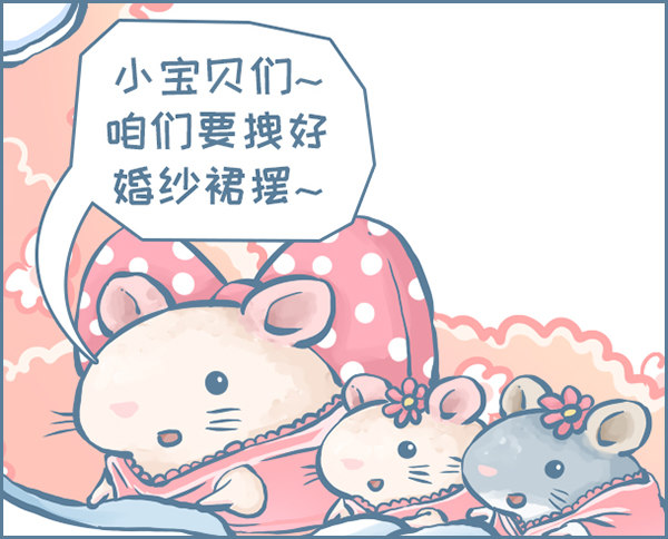 我们结婚啦（下）-第222话