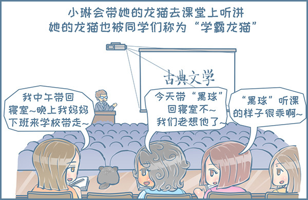龙猫友的真实故事-1-第234话