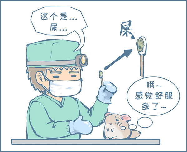真实的龙猫友故事&mdash;菟丝丝（下）-第238话