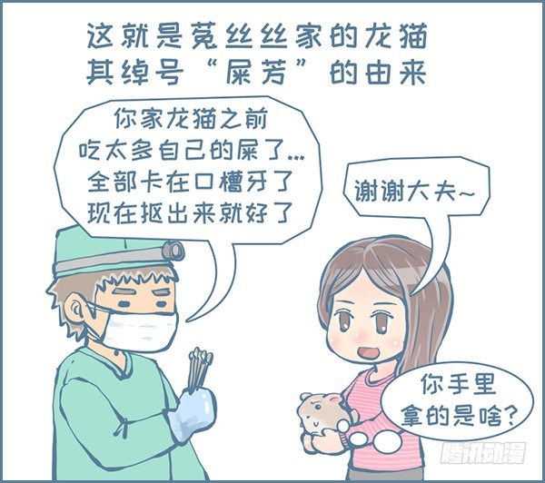 真实的龙猫友故事&mdash;菟丝丝（下）-第238话