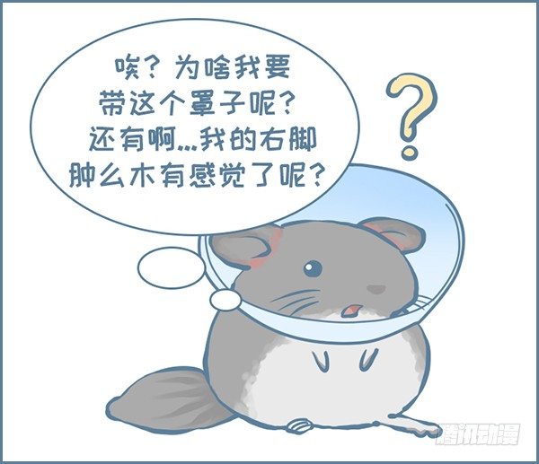 第157个小故事（3）-第240话