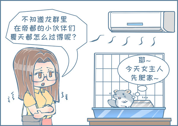 第159个小故事-第242话