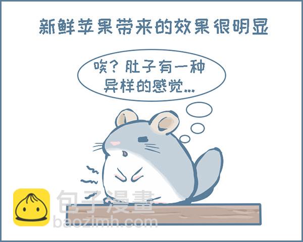 龙猫便秘了（下）-第264话