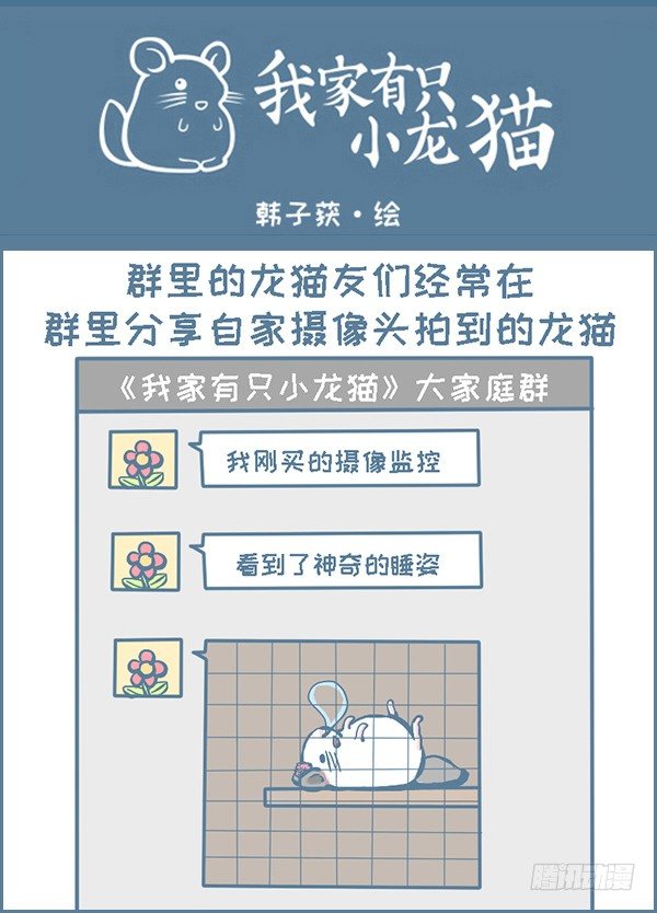 龙猫监控摄像头（2）-第268话