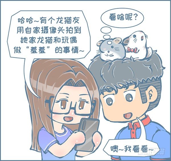 龙猫监控摄像头（2）-第268话