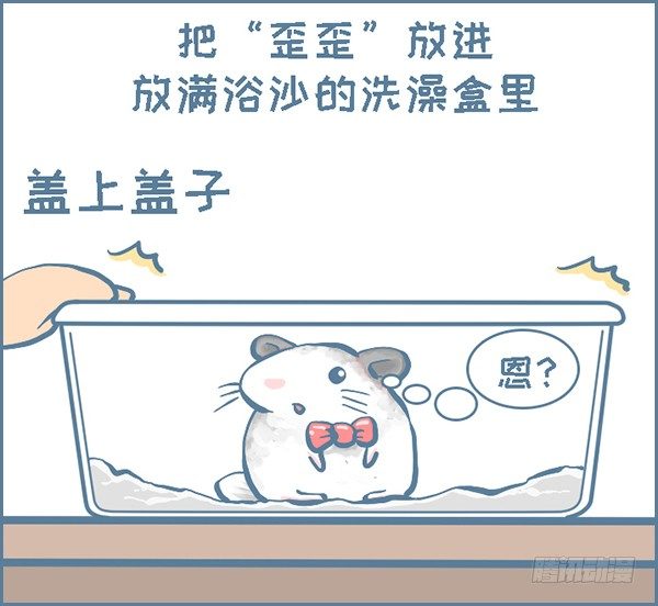 龙猫&ldquo;歪歪&rdquo;不洗澡了（1）-第280话