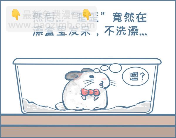 龙猫&ldquo;歪歪&rdquo;不洗澡了（1）-第280话