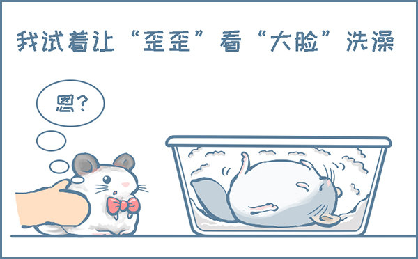 龙猫&ldquo;歪歪&rdquo;不洗澡了（3）-第282话