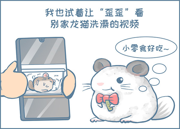 龙猫&ldquo;歪歪&rdquo;不洗澡了（3）-第282话