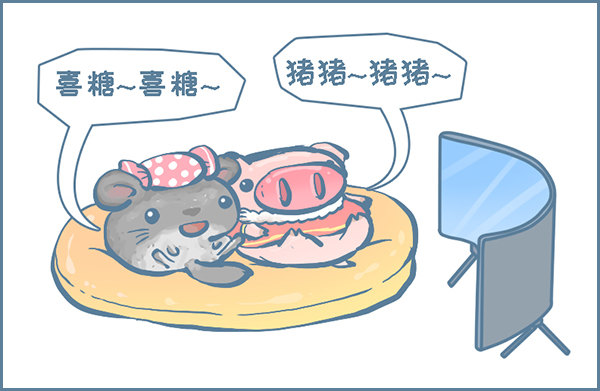 2019年春节年前准备-第288话
