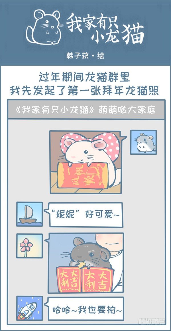 过年龙猫群的故事（上）-第294话