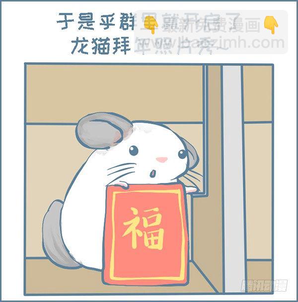 过年龙猫群的故事（上）-第294话